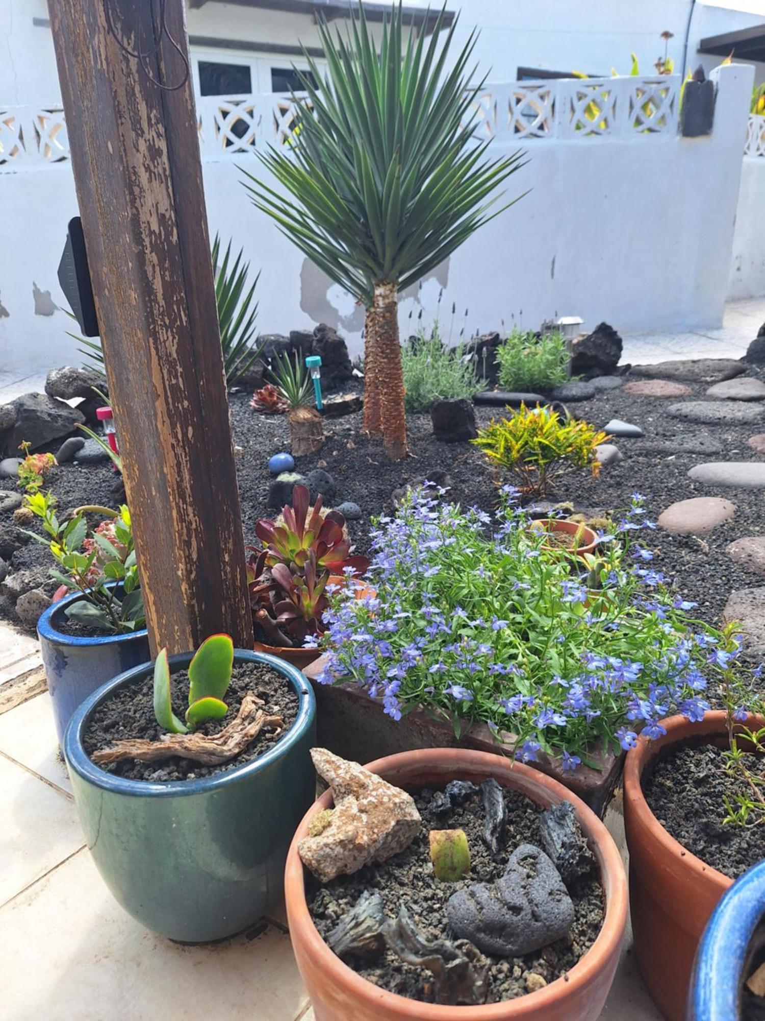 Casita Pequena Lanzarote Villa เตกีเซ ภายนอก รูปภาพ